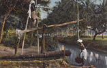 Indien Ansichtskarte / Postkarte / Wasserschöpfer bei der Arbeit, Ostindien -