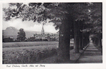 Bad Driburg Ansichtskarte / Postkarte / Bad Driburg, Große Allee mit Iburg -