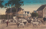 1918 Ansichtskarte / Postkarte / Winterberg / Austrieb der Ziegenherde 2-3