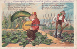 Deutsches Reich 1924 Ansichtskarte / Postkarte / Reklame für Düngemittel, Ammoniak, Gemüse, Gurken 2