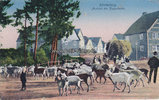 Winterberg Ansichtskarte / Postkarte / Winterberg. / Austrieb der Ziegenherde. -