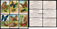 Drittes Reich 1935 Reklamebilder / Liebig-Bilderserie Nr. 1065 (Spielhagen) / Tropische ... 2