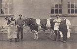 Deutsches Reich Fotokarte / Bulle im Schlachthof -