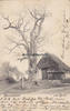Lübeck - St. Getrud 1902 Ansichtskarte / Postkarte / Israelsdorf. / alte Eiche. 2-3