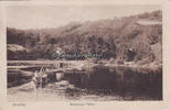 Baldeneysee / Essen 1921 Ansichtskarte / Postkarte / Ruhrtal / Baldeneyer Fähre 2