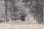 1905 Ansichtskarte / Postkarte / Hamm i. W. / Ostenallee 2-3