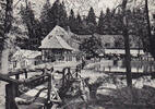 Leopoldstal / Horn - Bad Meinberg / Westfalen um 1966 Ansichtskarte / Postkarte / Waldhotel und Pension Silbermühle 2-3