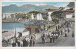 Kapstadt / Südafrika Ansichtskarte / Postkarte / Wood Camels - Steamer Point - Aden -