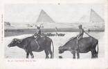 Nil / Ägypten Ansichtskarte / Postkarte / Zulu War Dance -