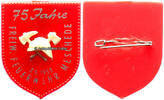 Meschede Veranstaltungsabzeichen / 75 Jahre Freiw. Feuerwehr Meschede 7. 5. 1959 -