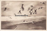 Drittes Reich / Sylt WHW / Postkarte / Reichswinterhilfe-Lotterie / Bild 7: Sylt-Strand -