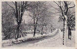 Elsenborn / Bütgenbach / Belgien Ansichtskarte / Postkarte / Elsenborn en hiver. Elsenborn des Winters. -