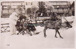 Oberhof / Thüringen Souvenirfoto / Menschengruppe auf Rentierschlitten mit Person im Eisbärkostüm -