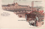 Salzuflen Reklamekarte - Lithographie/Gruss von Hoffmann's Stärkefabriken in Salzuflen. -
