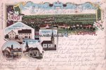 Gundersheim Farb-Lithografie/Gruss aus Gundersheim/Totalansicht./Geschäftshaus von Jacob... -