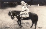 Deutsches Reich 1909 Ansichtskarte/Postkarte/Die beiden Söhne unseres Kronprinzenpaares. 2-3