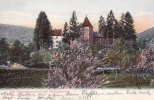 Neckargemünd Ansichtskarte/Postkarte/Der Kümmelbacherhof bei Neckargemünd  1906 2