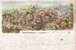 Tannenbaum bei Lippstadt Litho/Tannenbaum bei Lippstadt, den  1896 3