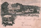 Cappenberg/Selm Vorläufer-Litho/Gruss aus Kappenberg./Zum Kappenberger Hof. F. W. Lönne.  1896 3