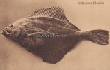 Ahlbeck Ansichtskarte/Postkarte/Ahlbecker Flunder -