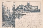 Königswinter/Drachenfels Litho/Vorläufer/Gruss vom Drachenfels/Drachenburg  1896 3