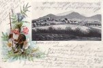 Polen/Zobten/Niederschlesien 1902 AK./Zobten 2-3