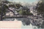 Meixmühle b.Pillnitz(Ost 8010) um 1910 Gruss aus der Meixsmühle bei Pillnitz 2