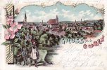 Guben(7560 Ost) Lithographie/Gruss aus Guben -