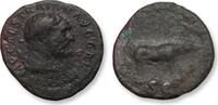 ROMAN EMPIRE AE quadrans Trajanus / Trajan, Rome - bust of Hercules, Boar reverse - scarcer little coin -