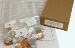 170 Different Coins from 170 Countries – No Duplicates -