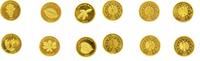 Bundesrepublik Deutschland 6 x 20 Euro BRD. -