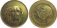Tiere Medaille Bronze vergoldet Solingen - Kynologischer Verein, Hundekopf / Wappen und Umschrift, ca. 45 MM, kleiner Fleck -