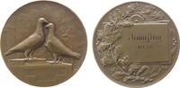 Tiere Medaille Bronze Jungflug - Tauben, zwei Tauben / Gravur, ca. 40,5 MM -