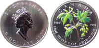 Kanada 5 Dollar Ag Ahornblatt im Sommer (Tampondruck), ohne Etui, ohne Zertifikat -