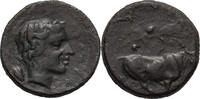 Ancient Greek AE Sicily, Gela. AE -