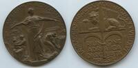 Italien Königreich Triest Große Bronzemedaille GN1606b - Riunione Adriatica di Sicurta Trieste - Italy -