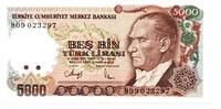 Turquie - Turkey 5000 Lira -