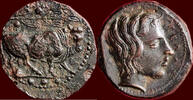 AE SICILIA (SICILY), GELA - AE Tetras, 420-405 BC -