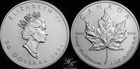 Canada 50 dollars 1994 1 oz Platinum 50 dollars maple leaf 1994 Canada st 2200,00 EUR  Excl. 40,00 EUR Verzending