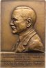 Medicina in nummis Einseitige Bronzeplakette Roy, Dr. Maurice *1866 Nemours, Direktor der Zahnarztklinik in Paris. -