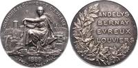 Luft- und Raumfahrt Silbermedaille -