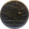 Luft- und Raumfahrt Einseitige Bronzegussmedaille -