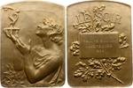 Luft- und Raumfahrt Bronzeplakette -