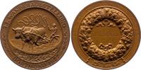 Dortmund Prämienmedaille Medaillen und Marken. -