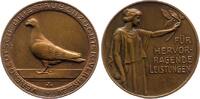 Tauben und Brieftauben Bronzemedaille Allgemein -