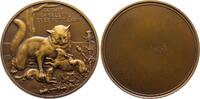 Kunstmedaillen Einseitige Bronzemedaille Virion, Charles-Louis -
