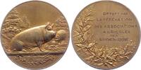 Tiere Silbermedaille Schweine -