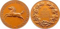 Hannover, Stadt Bronzemedaille -