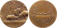 Kunstmedaillen Bronzemedaille Dubois, Henri -