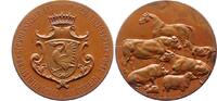 Schleswig-Bargteheide, Stadt Bronzemedaille -